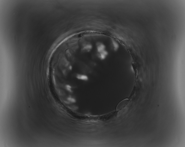 X0000086090247200704132132