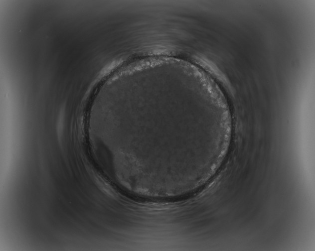 X0000086090250200704132132