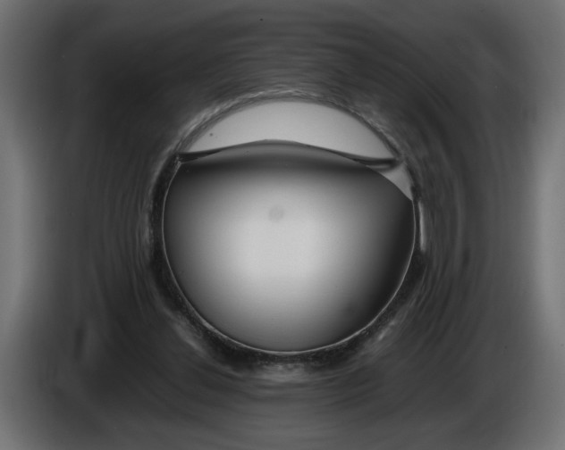 X0000086090252200704132132