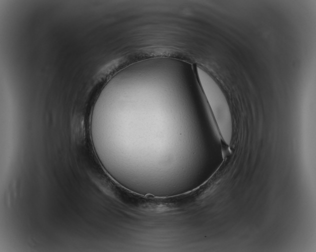 X0000086090254200704132132