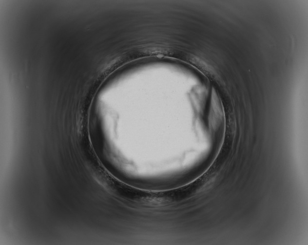 X0000086090255200704132132