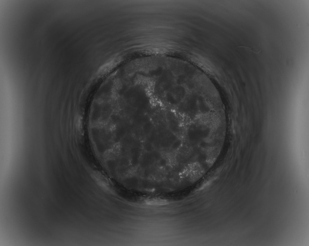 X0000086090258200704132132