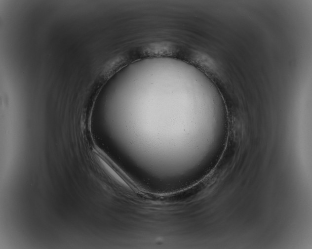 X0000086090259200704132132