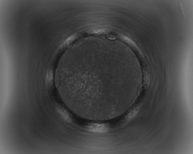 X0000086090260200704132132