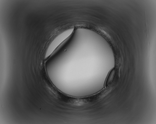 X0000086090261200704132132