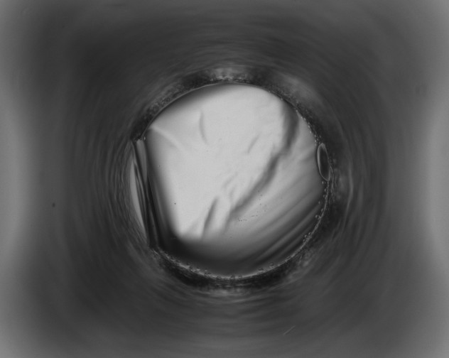 X0000086090263200704132132