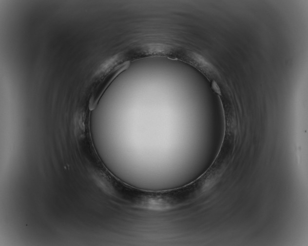 X0000086090264200704132132