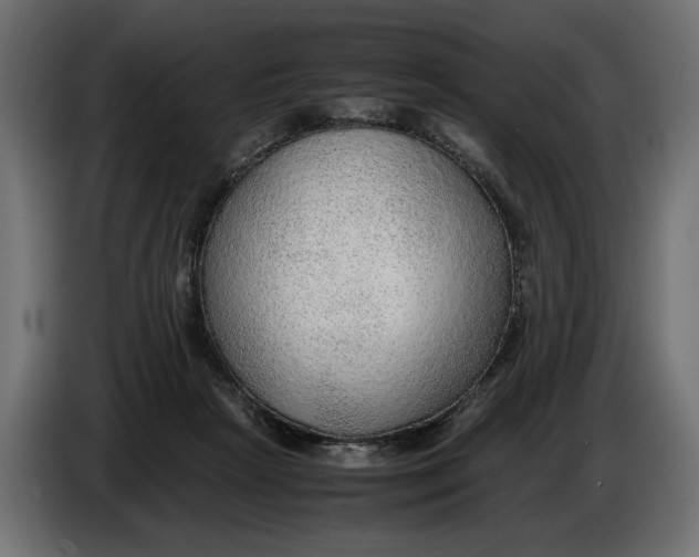 X0000086090265200704132132