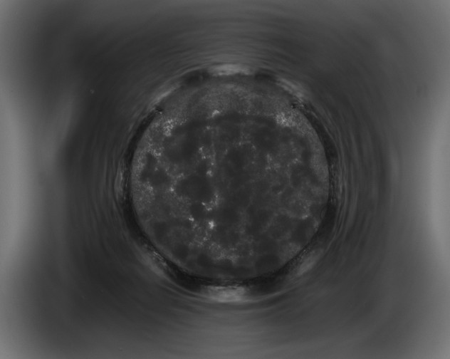 X0000086090266200704132132