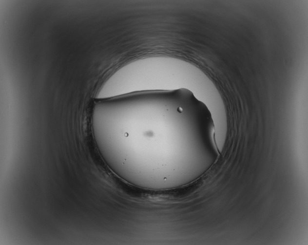 X0000086090268200704132132