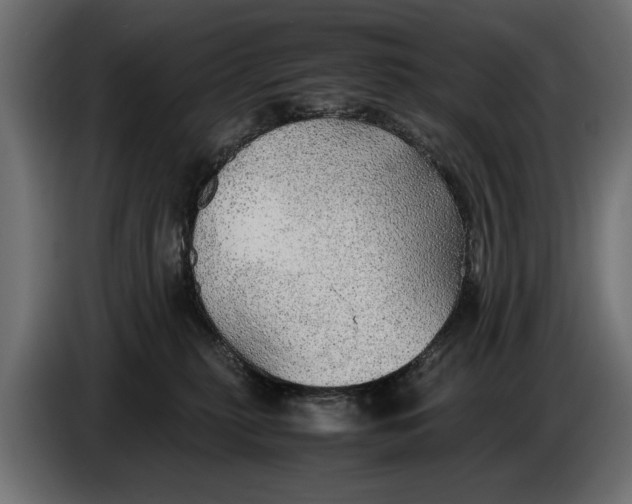 X0000086090279200704132132