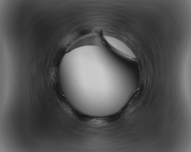 X0000086090280200704132132