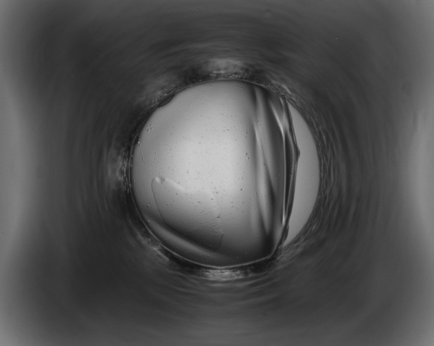 X0000086090281200704132132