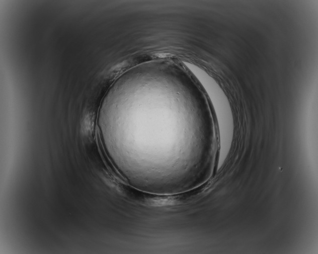 X0000086090284200704132132