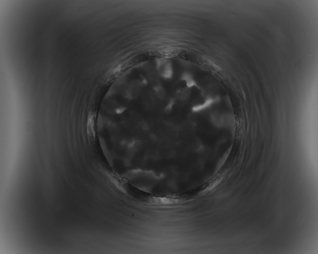 X0000086090286200704132132