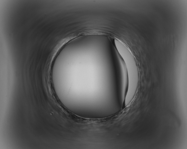 X0000086090289200704132131