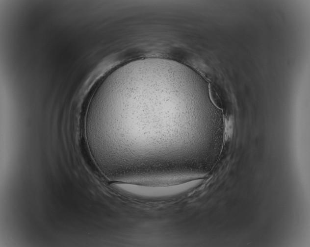 X0000086090291200704132131