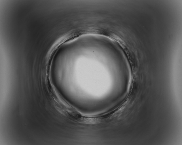 X0000086090293200704132131