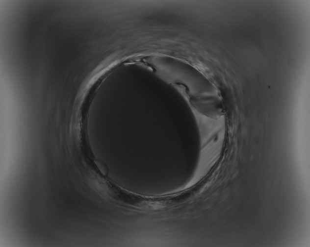 X0000086090295200704132131