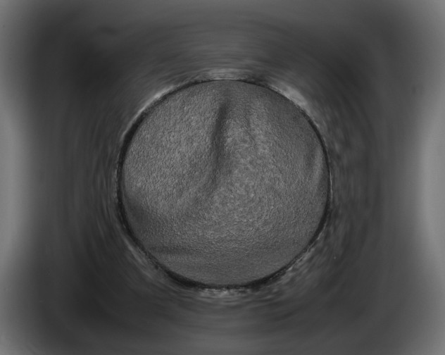 X0000086090297200704132131