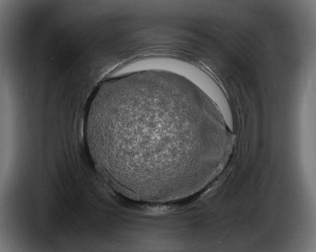 X0000086090301200704132131