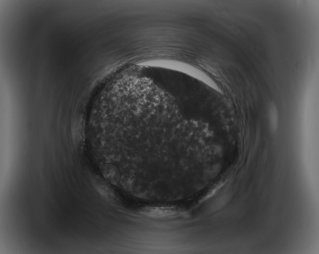 X0000086090303200704132131