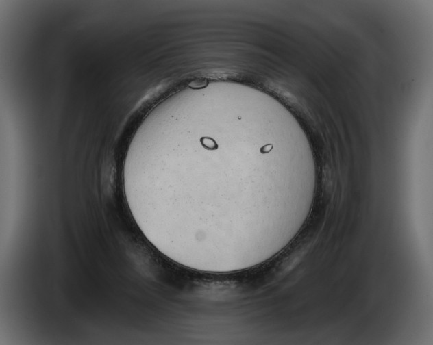 X0000086090304200704132131