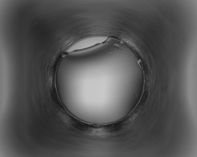 X0000086090309200704132131