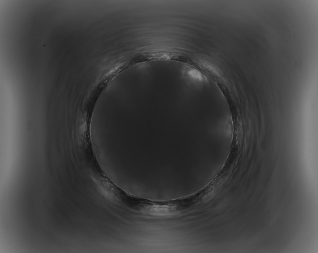 X0000086090314200704132131