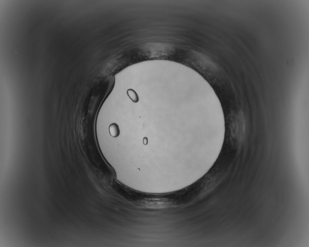 X0000086090316200704132131