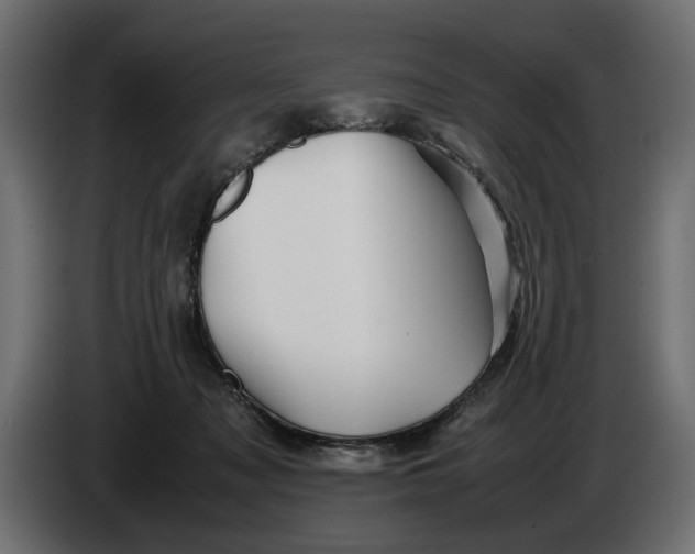 X0000086090317200704132131