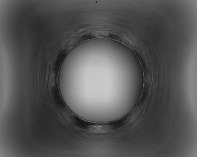 X0000086090323200704132131