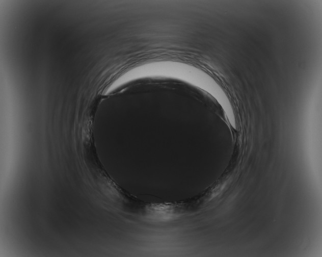 X0000086090325200704132131