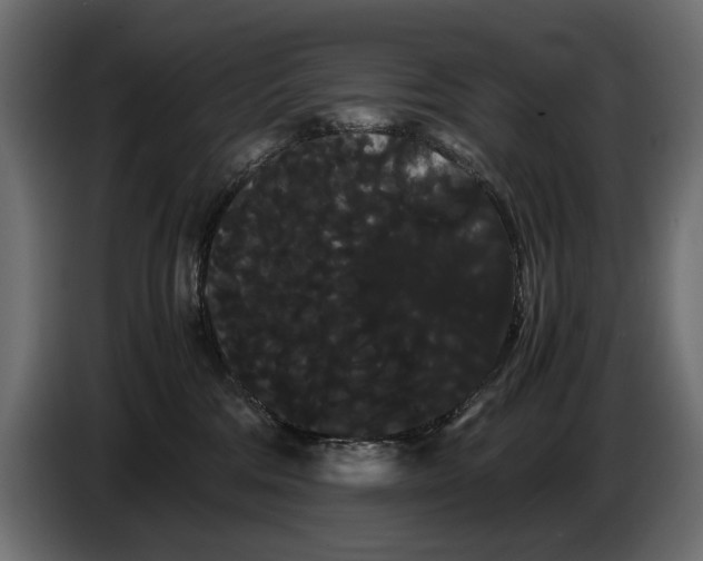 X0000086090330200704132131