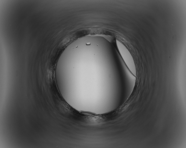 X0000086090333200704132131