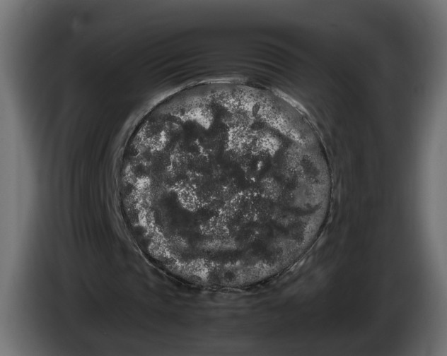 X0000086090337200704132130