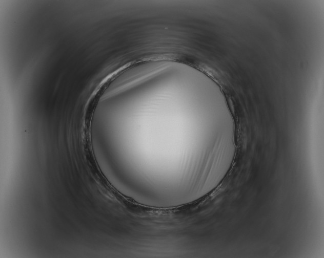 X0000086090338200704132130