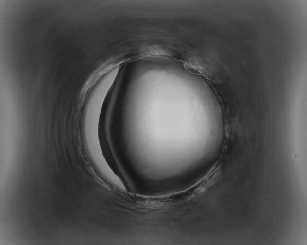 X0000086090341200704132130