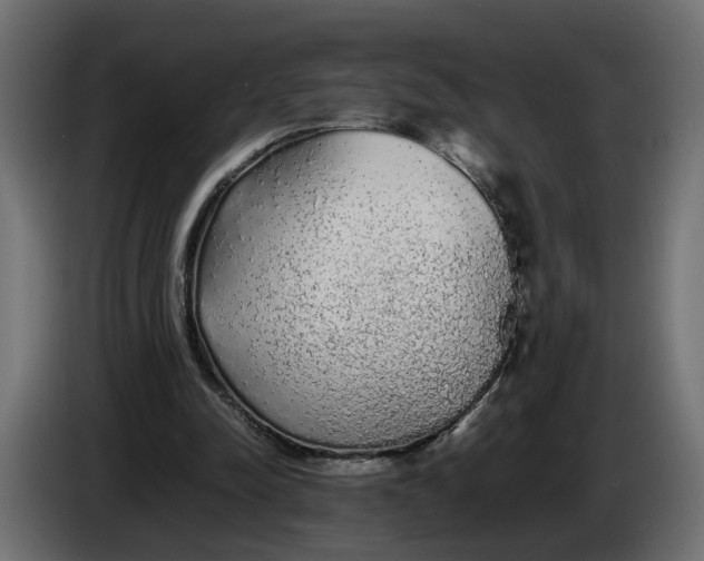 X0000086090342200704132130