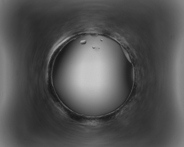 X0000086090344200704132130