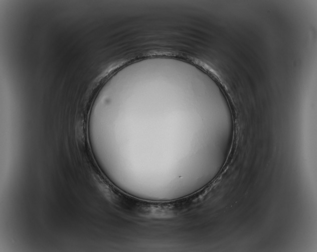 X0000086090345200704132130