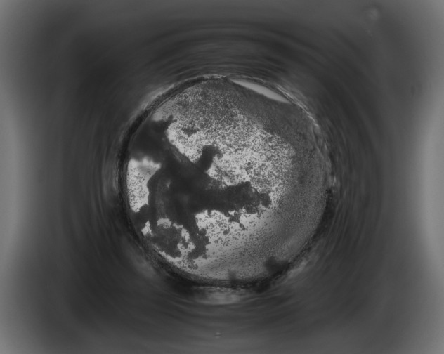 X0000086090347200704132130