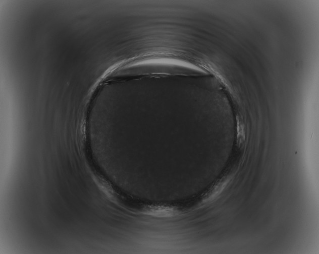 X0000086090348200704132130