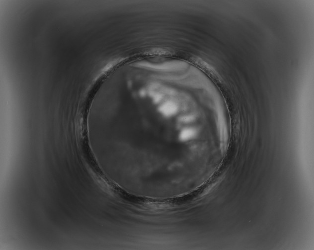 X0000086090351200704132130