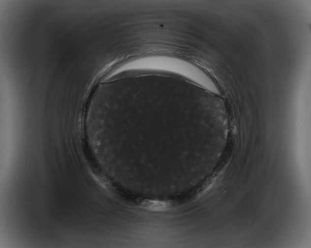 X0000086090352200704132130