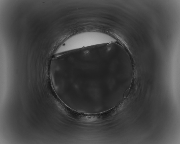 X0000086090353200704132130