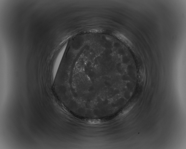 X0000086090355200704132130