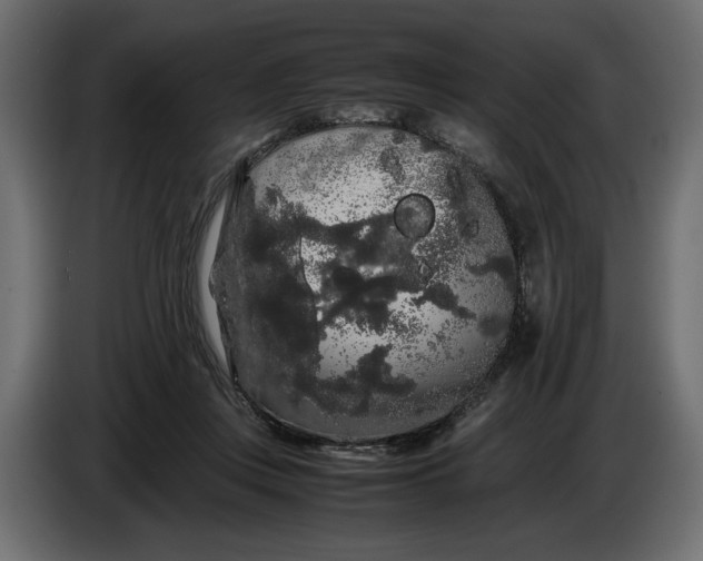 X0000086090359200704132130