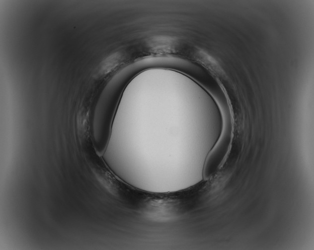 X0000086090364200704132130