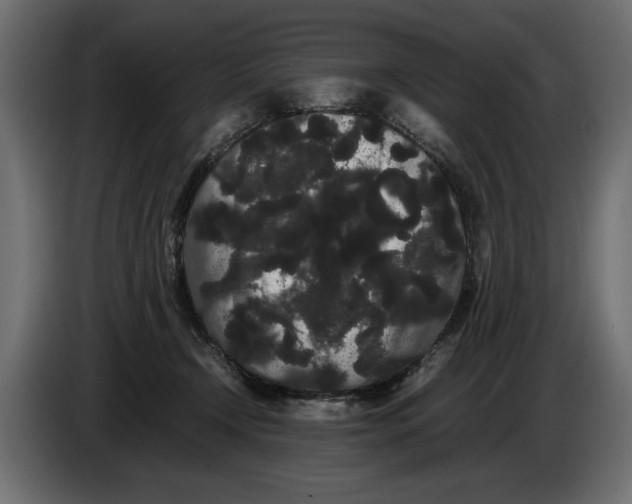 X0000086090366200704132130